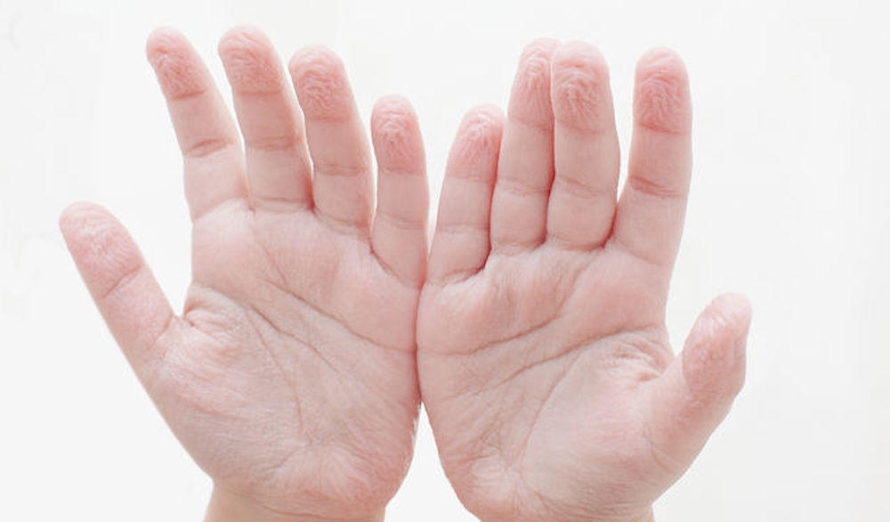 Test: ¿Sabes por qué nuestro cuerpo se comporta de cierta manera?