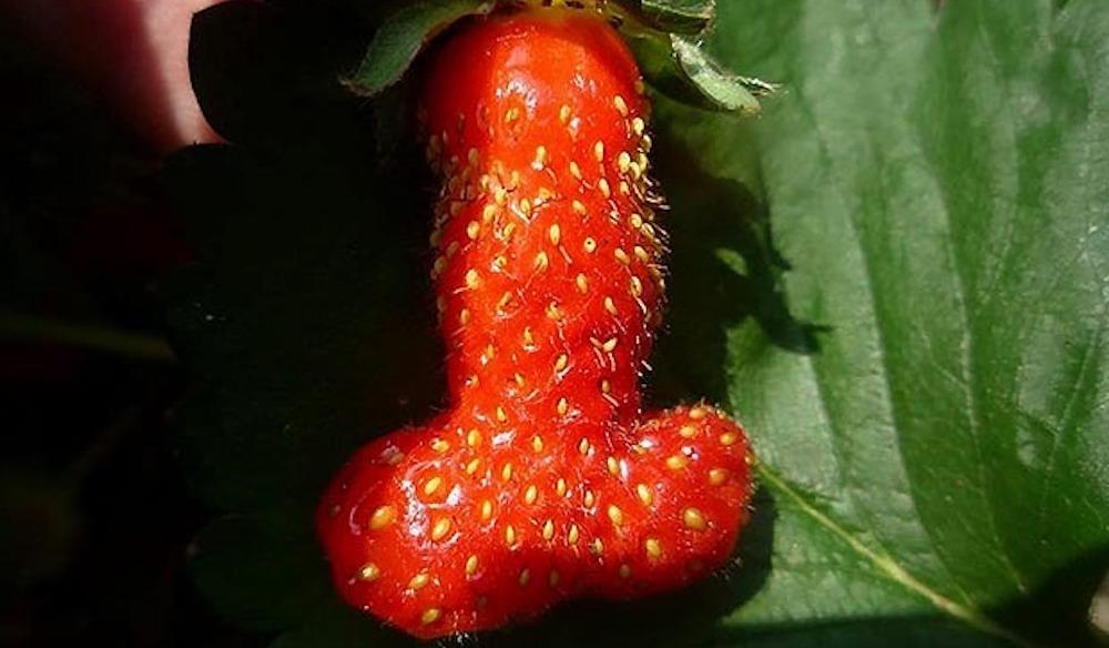 25 rostros vistos en objetos ordinarios